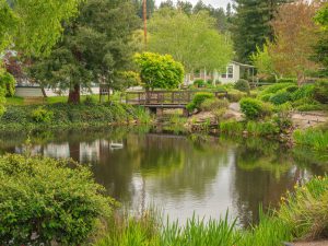 scotts valley, california